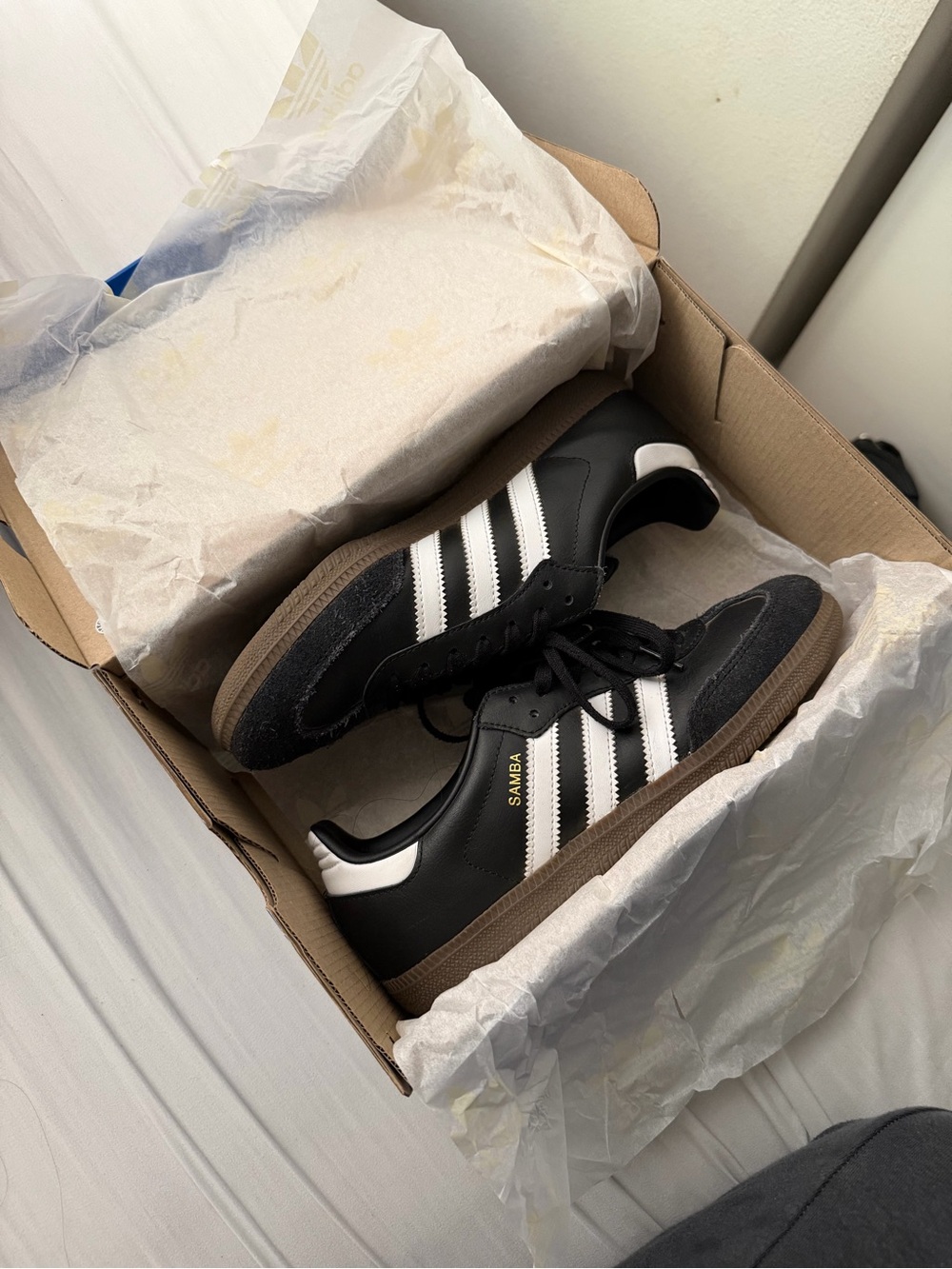 SAMBA OG J 5Y